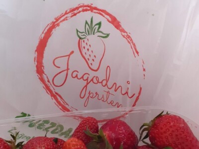Jagodar-HB Jagodar-HB