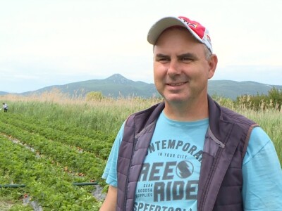 Jagode iz doline Neretve