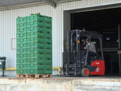 Jagode iz doline Neretve