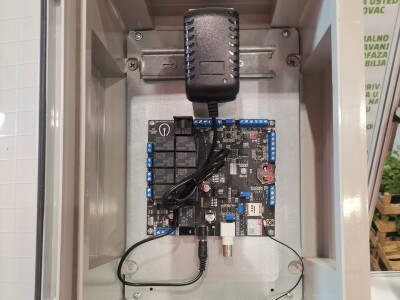 Jagode - od sadnice do prodavnice