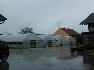 Jagodići imaju pet plastenika