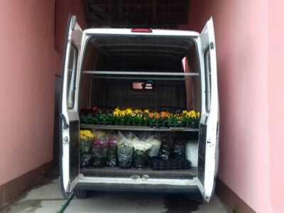 Jagodići cvijeće prodaju na kućnom pragu, križevačkoj tržnici i trgovinama KTC-a