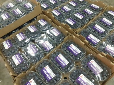 Jagodičasto voće Jagodičasto voće