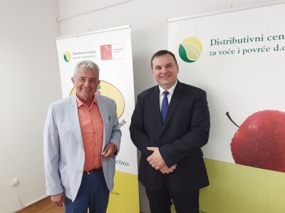 Jagodičasto voće Jagodičasto voće