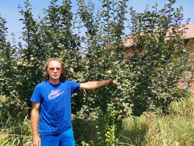 Jagodinski voćari zadovoljni rodom i cenama