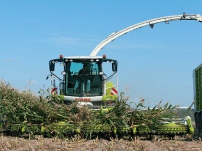 Kombajn Claas Jaguar 980/930