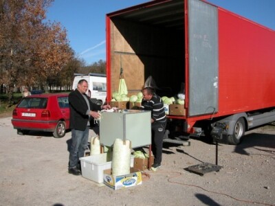 Jakša Stipanac iz Hrvaca reže i pakira glavati kupus na sinjskom pazaru