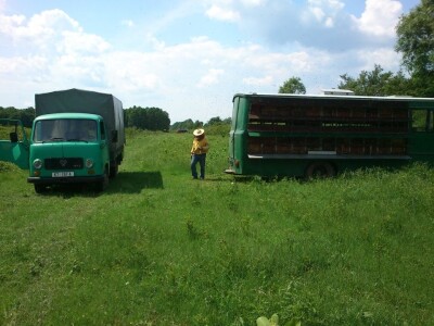Vozilima u potrazi za pčelinjim pašama Vozilima u potrazi za pčelinjim pašama