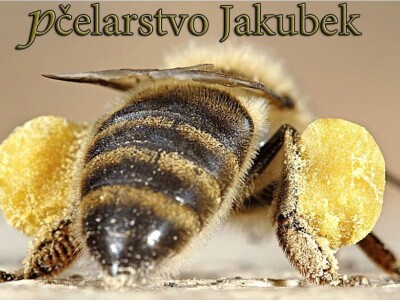 OPG Jekubek OPG Jekubek