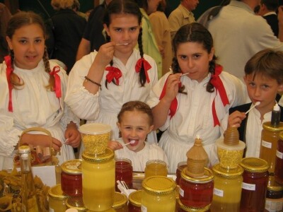 Med je hranjiv i ljekovit Med je hranjiv i ljekovit