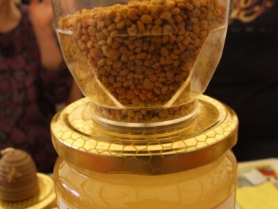 OPG Jekubek OPG Jekubek