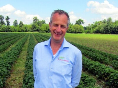 Jan Vouter Van Ek, Fresh forward