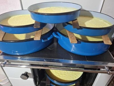 Sir janjska pletenica