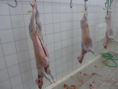 JANJETINA - Dalmatinci najviše vole plodove mora - na papršnjaku!