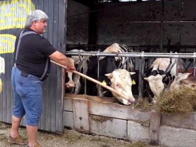 Janko Rakun, stočar iz Slovenije