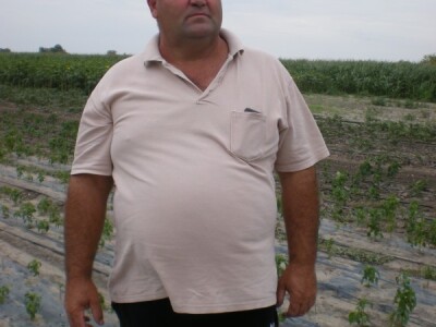 Janoš Balint, povrtar