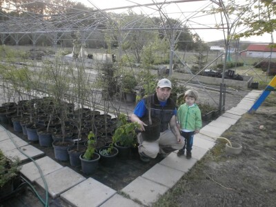 Otac i sin sa japanskom soforom Otac i sin sa japanskom soforom