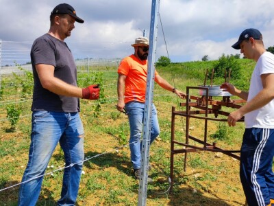 Jazbina - vinogradarsko voćarsko pokušalište