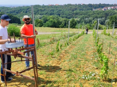 Jazbina - vinogradarsko voćarsko pokušalište