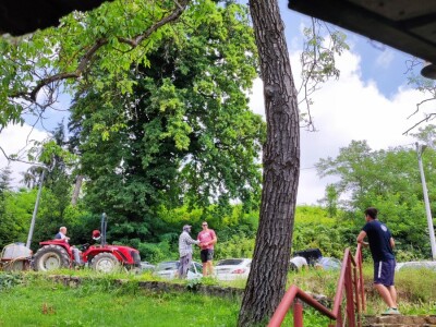 Jazbina - vinogradarsko voćarsko pokušalište