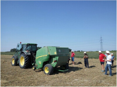 Na parceli OPG Vranjković