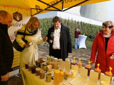 JE Dukovany: Berba grožđa u češkoj nuklearki - proizvest će i vino