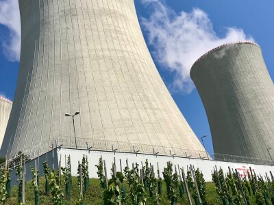 JE Dukovany: Berba grožđa u češkoj nuklearki - proizvest će i vino