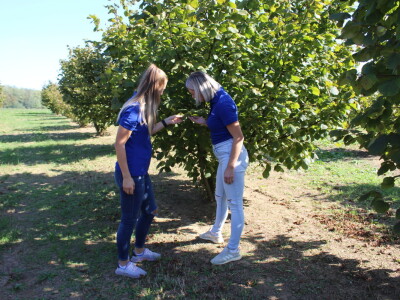 Jedan dan s prodajnom predstavnicom i savjetodavkom Daliborkom Maras iz Timac Agro