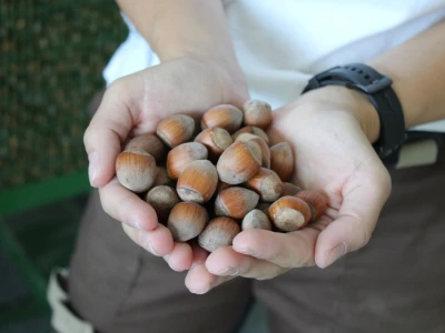 Jedan dan s prodajnom predstavnicom i savjetodavkom Daliborkom Maras iz Timac Agro