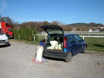 Jedan od kupaca kupusa na sinjskom pazaru