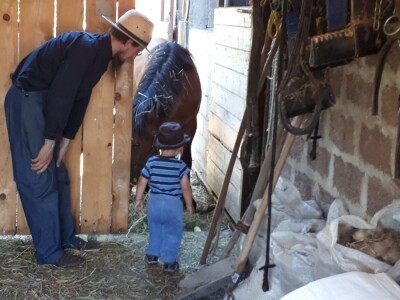 Jedini srpski Amiš sa porodicom živi kraj Aleksinca