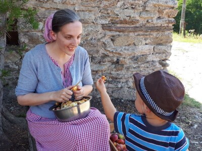 Jedini srpski Amiš sa porodicom živi kraj Aleksinca