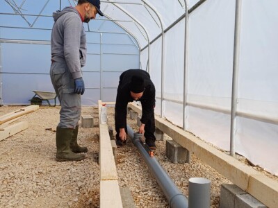 Jedna od prvih akvaponija u Bosni i Hercegovini