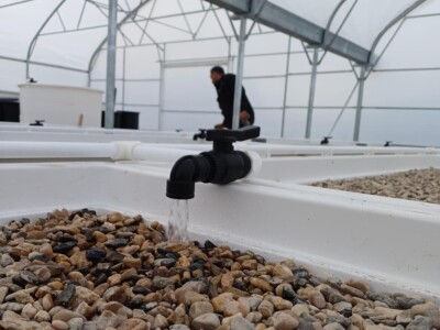 Jedna od prvih akvaponija u Bosni i Hercegovini