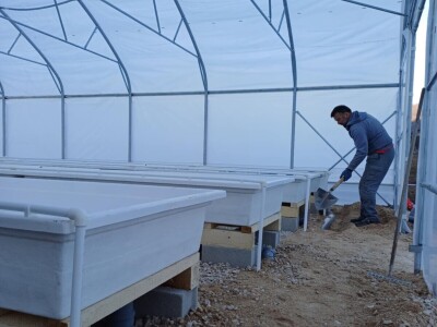 Jedna od prvih akvaponija u Bosni i Hercegovini