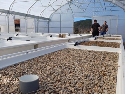 Jedna od prvih akvaponija u Bosni i Hercegovini