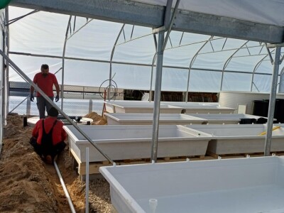 Jedna od prvih akvaponija u Bosni i Hercegovini