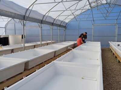 Jedna od prvih akvaponija u Bosni i Hercegovini