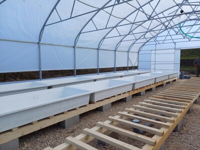 Jedna od prvih akvaponija u Bosni i Hercegovini