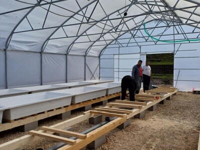 Jedna od prvih akvaponija u Bosni i Hercegovini