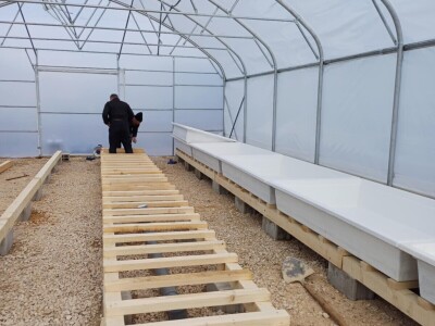 Jedna od prvih akvaponija u Bosni i Hercegovini