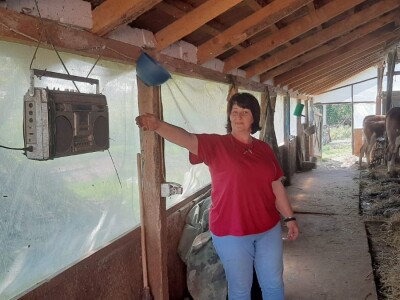 Jelena se posvetila govedarskoj proizvodnji, svaka krava ima svoje ime a muzika u štali utiče na mlečnost, foto: M. Lazarević