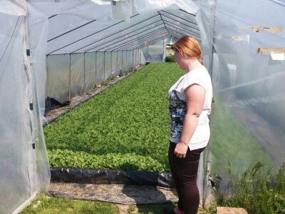 Duhan OPG-a Kokorić