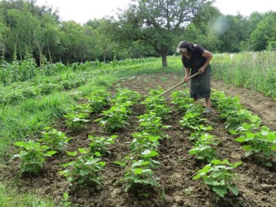 Jelka Zubović iz Trnave