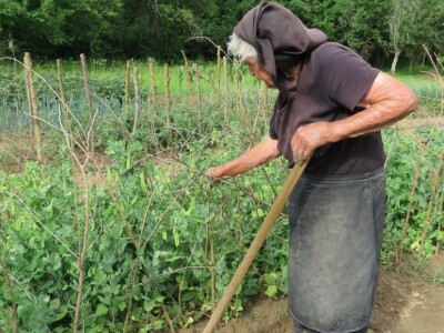 Jelka Zubović iz Trnave