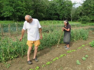 Jelka Zubović iz Trnave