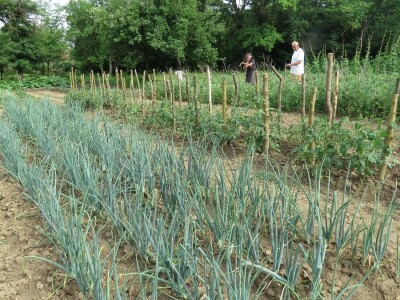 Jelka Zubović iz Trnave