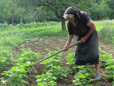 Jelka Zubović iz Trnave