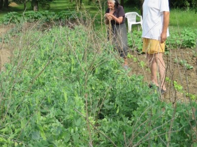 Jelka Zubović iz Trnave