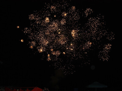 Jerković proslavio završetak žetve